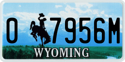 WY license plate 07956M