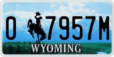 WY license plate 07957M