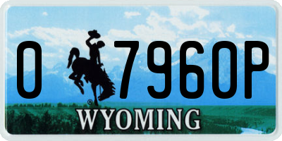 WY license plate 07960P