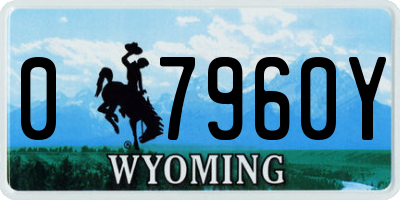 WY license plate 07960Y
