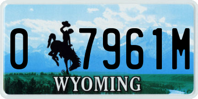 WY license plate 07961M