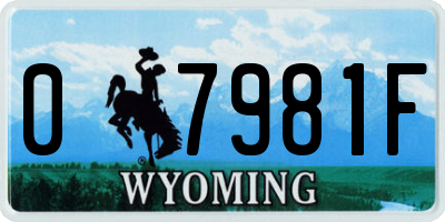 WY license plate 07981F