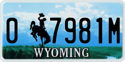 WY license plate 07981M