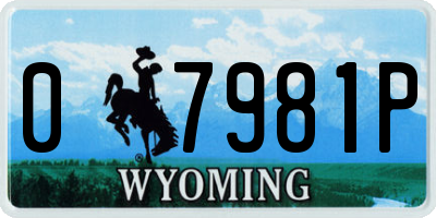 WY license plate 07981P