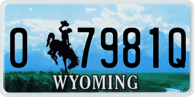 WY license plate 07981Q