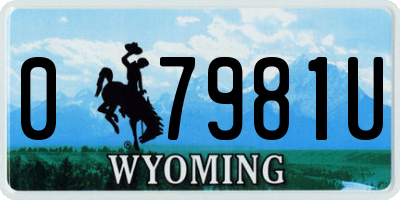 WY license plate 07981U