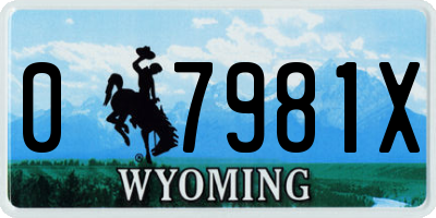 WY license plate 07981X