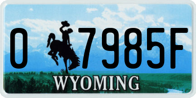 WY license plate 07985F