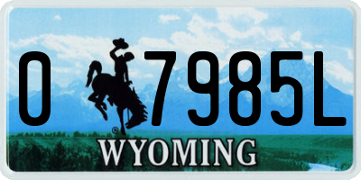 WY license plate 07985L