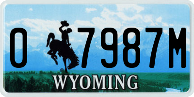 WY license plate 07987M