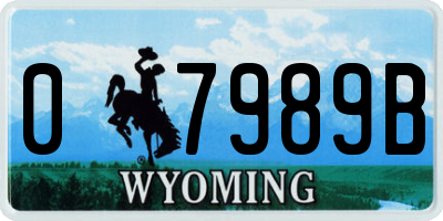 WY license plate 07989B