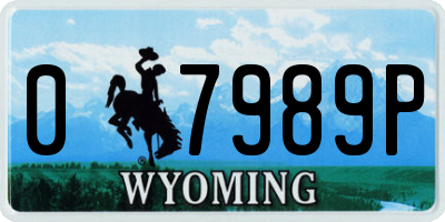WY license plate 07989P