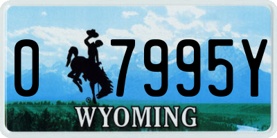 WY license plate 07995Y