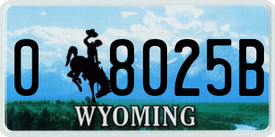 WY license plate 08025B