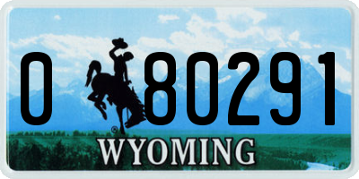 WY license plate 080291