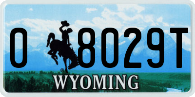 WY license plate 08029T