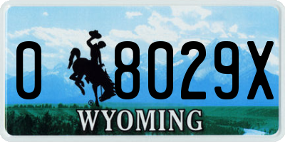 WY license plate 08029X