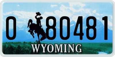WY license plate 080481