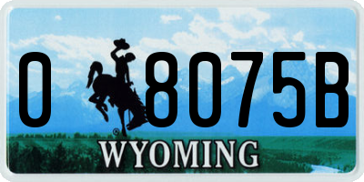 WY license plate 08075B