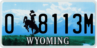 WY license plate 08113M