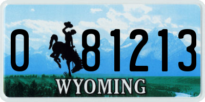 WY license plate 081213