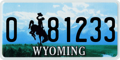 WY license plate 081233