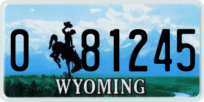 WY license plate 081245