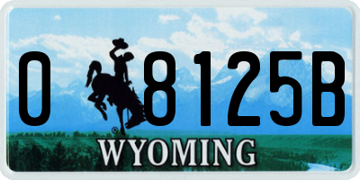 WY license plate 08125B