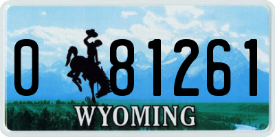 WY license plate 081261