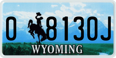 WY license plate 08130J