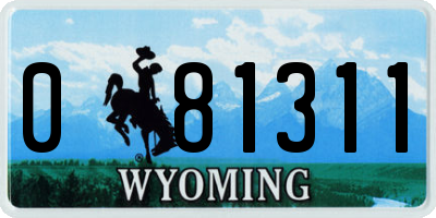 WY license plate 081311