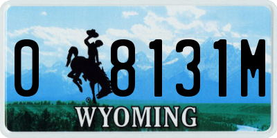 WY license plate 08131M