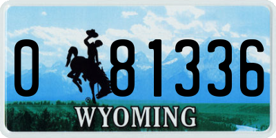 WY license plate 081336