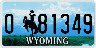 WY license plate 081349