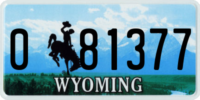 WY license plate 081377