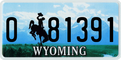 WY license plate 081391