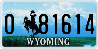 WY license plate 081614
