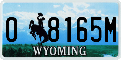WY license plate 08165M