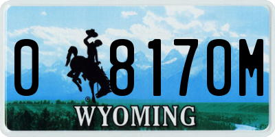 WY license plate 08170M