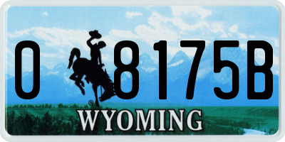 WY license plate 08175B