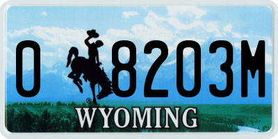 WY license plate 08203M