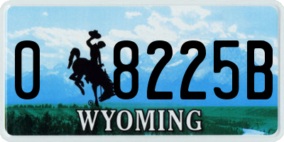 WY license plate 08225B