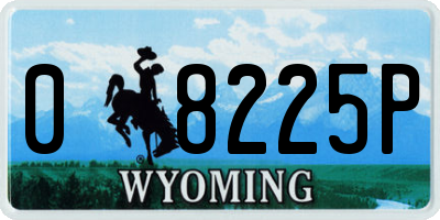 WY license plate 08225P