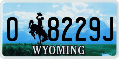 WY license plate 08229J