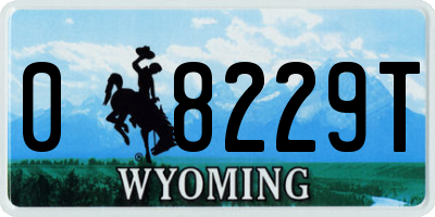 WY license plate 08229T
