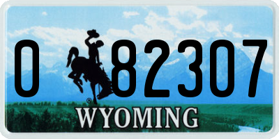 WY license plate 082307