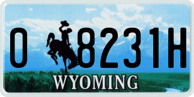 WY license plate 08231H