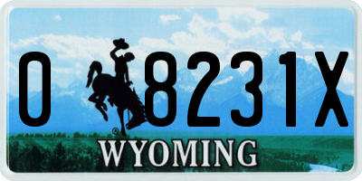 WY license plate 08231X