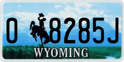 WY license plate 08285J