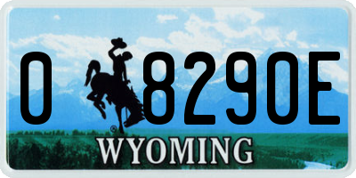 WY license plate 08290E